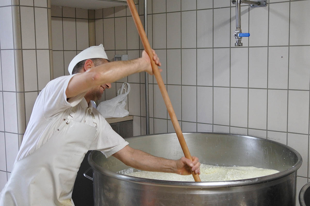 Caseificio produzione di formaggi e latticini Puglia