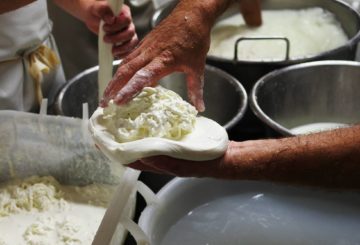 Degustazione di formaggi in puglia