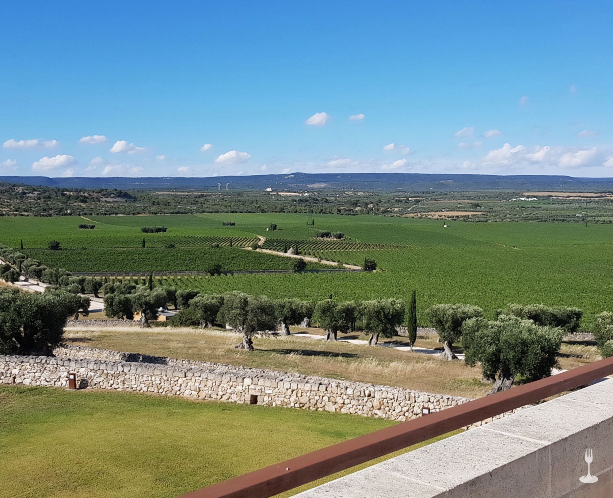 Scopri come viene prodotto il vino bio pugliese degustazione lunch Orizzontale 04