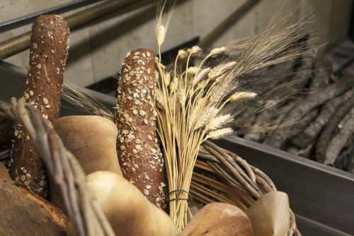 Learn how to make bread in Puglia