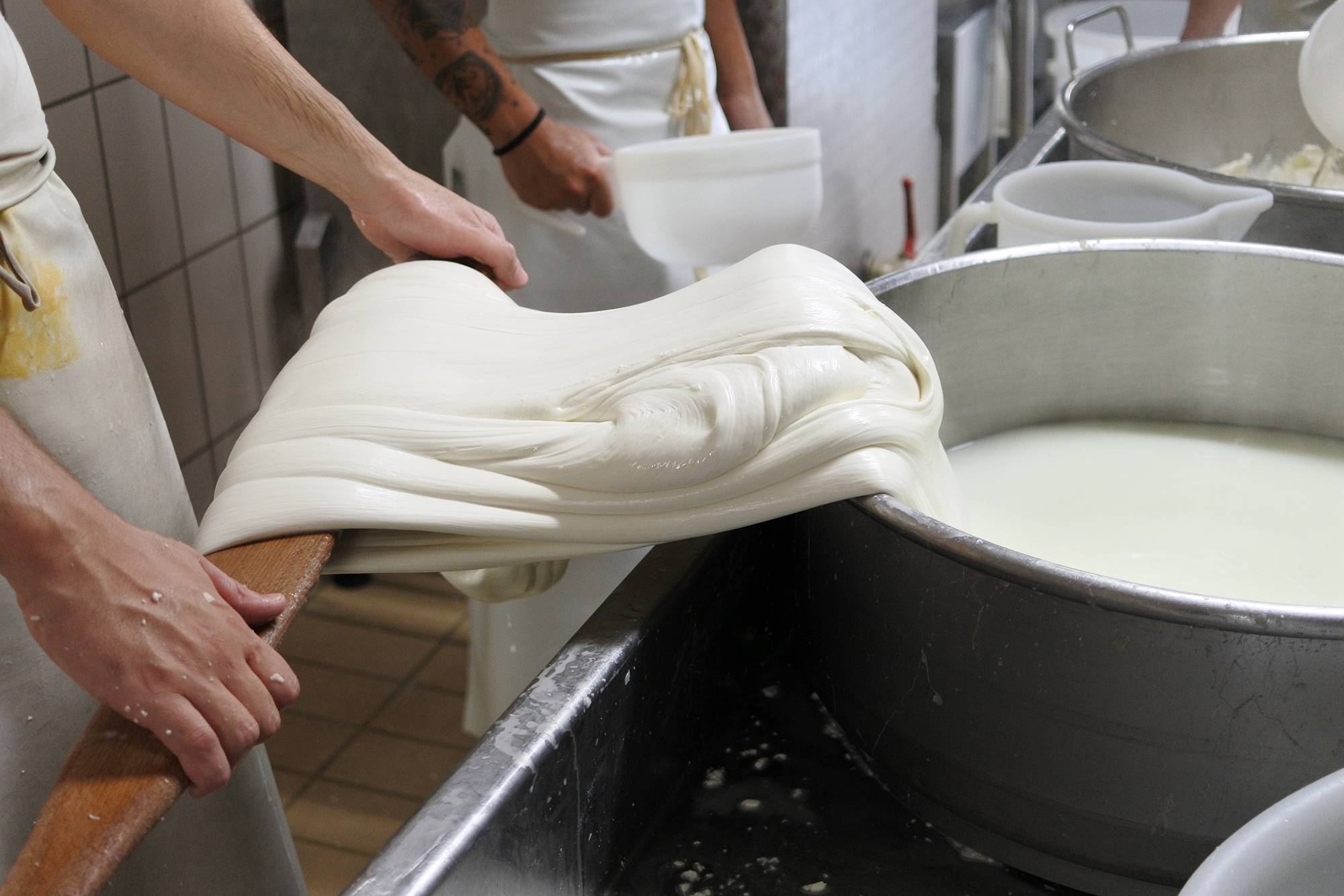 Visit to Cheese Maker - Making Burrata! - Picture of Bluone - Food and Wine  Tours in Italy, Bologna - Tripadvisor