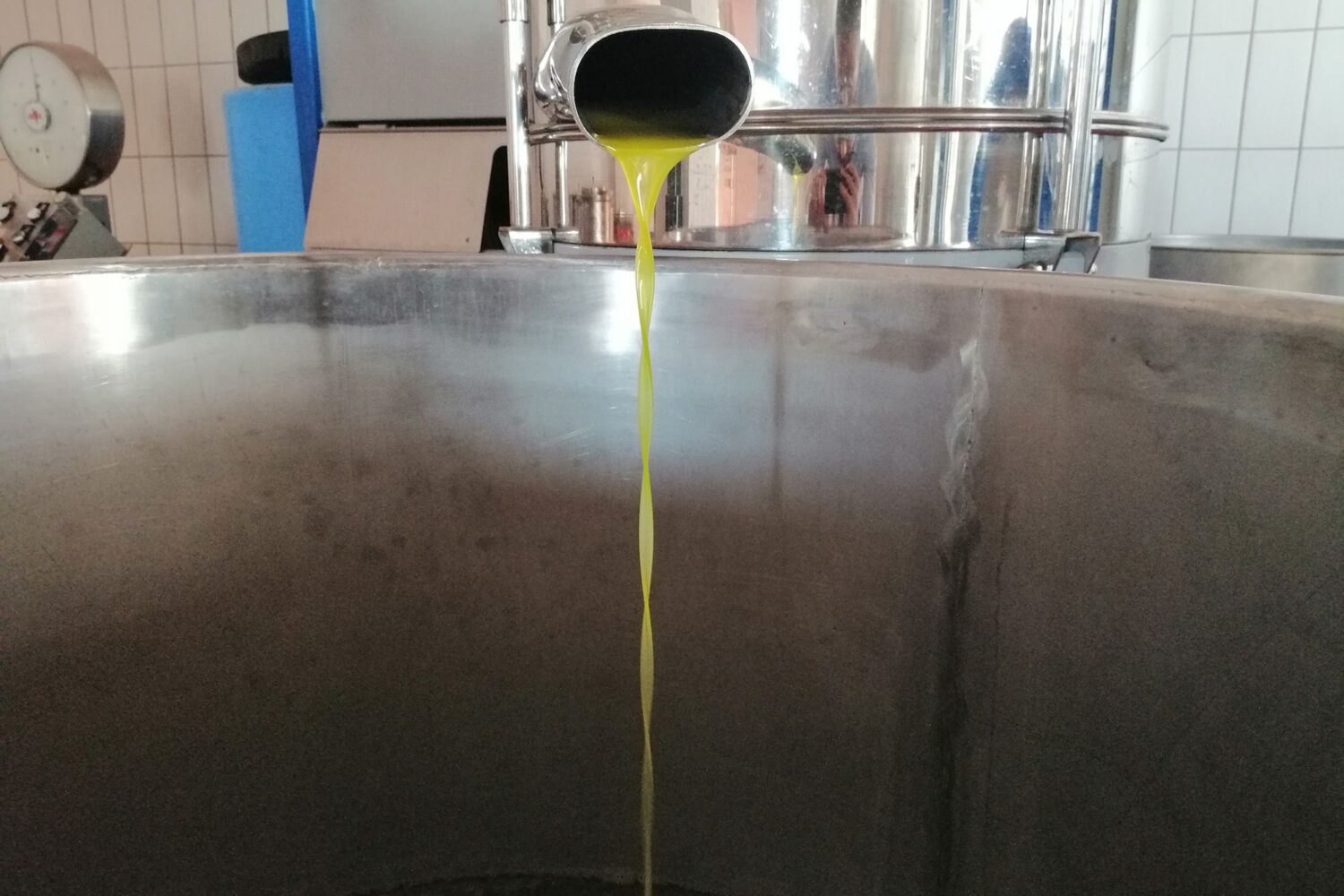 Exra virgin olive oil Puglia