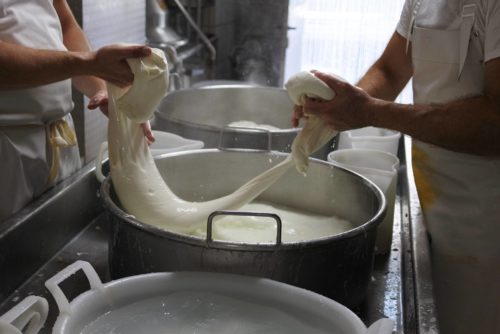 Corso casaro per preparare latticini e formaggi in casa