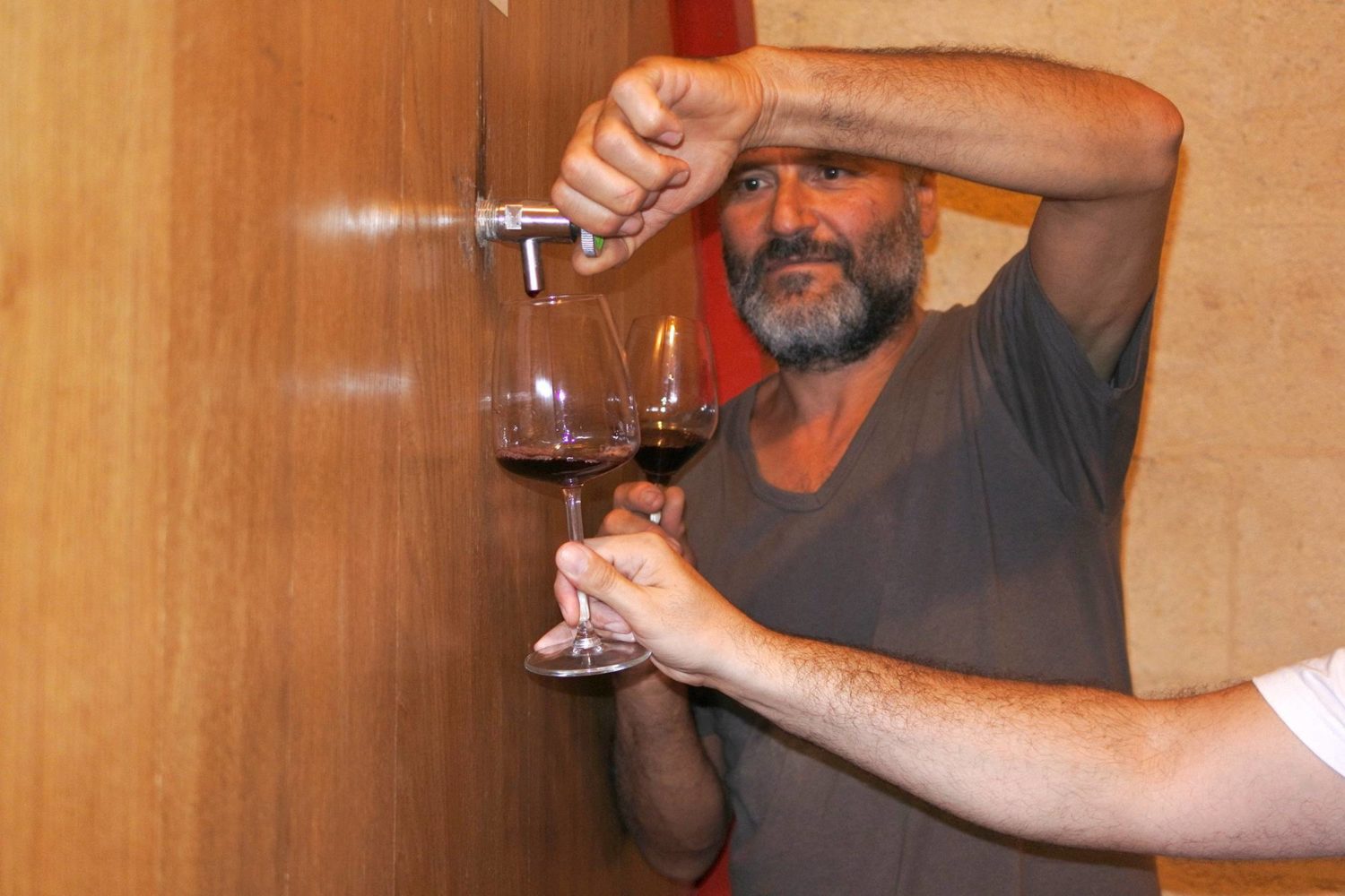 Wine tasting experience in Puglia