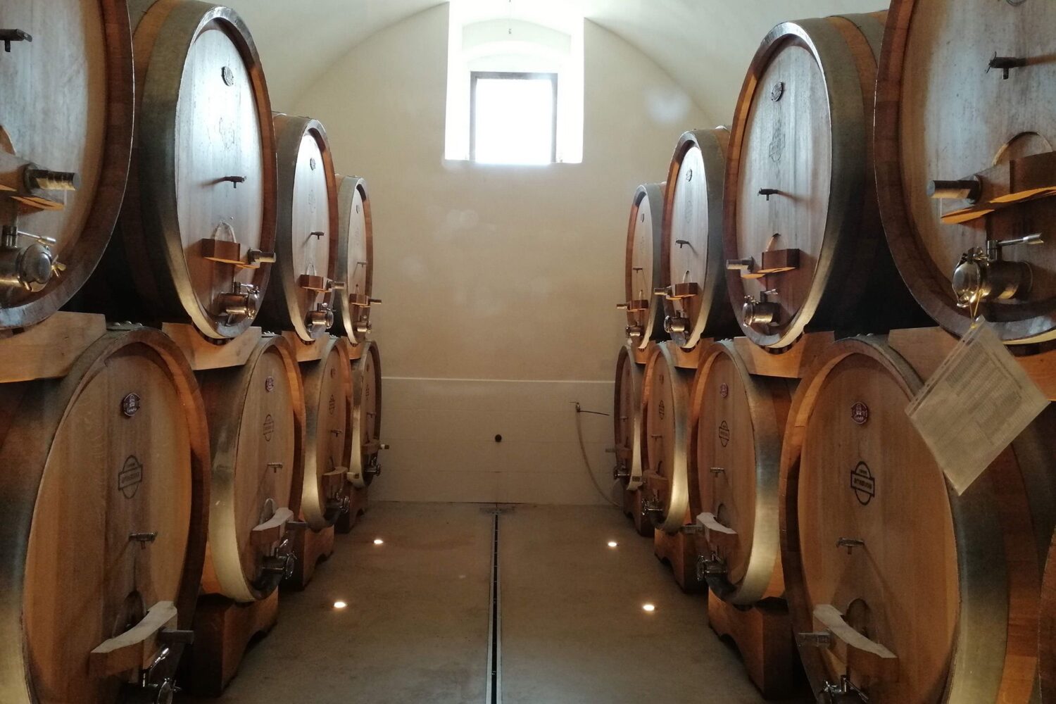Oak barrels for wine maturation