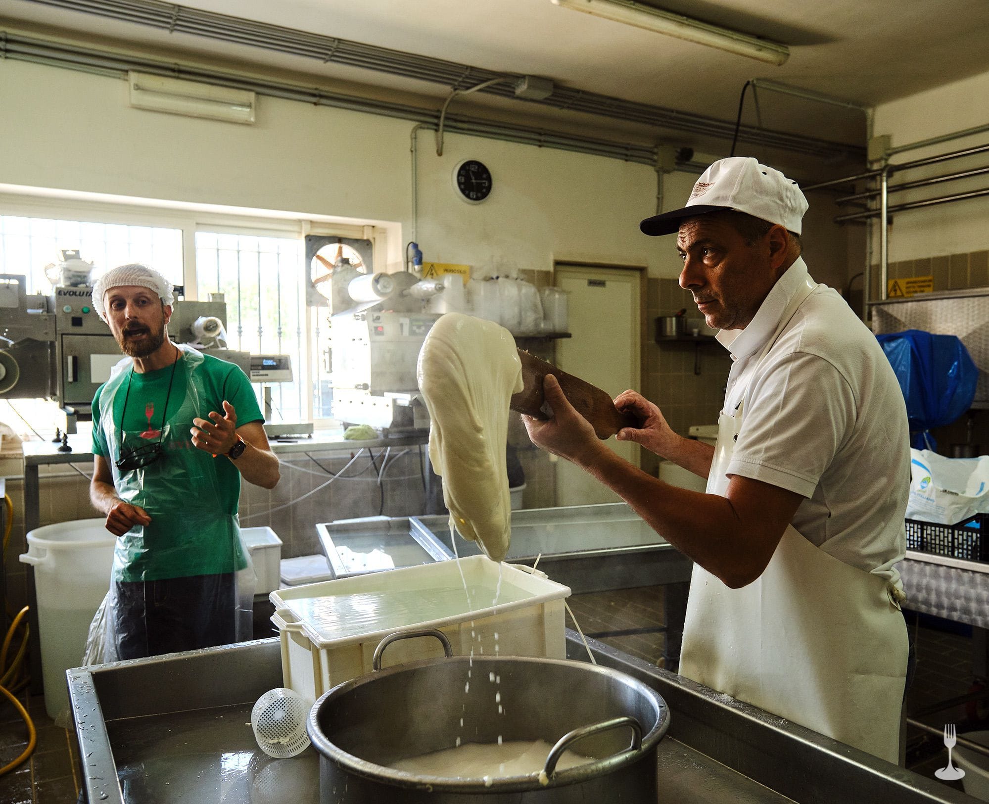 Dairyman with mozzarella Cheesemaker holding mozzarella curd with a wooden tool.