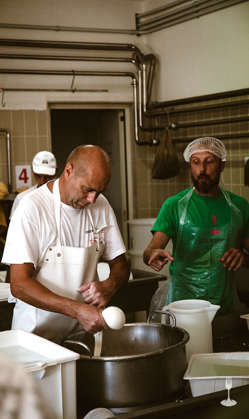 Dairyman Cheesemaker preparing mozzarella while Marco explains the process.