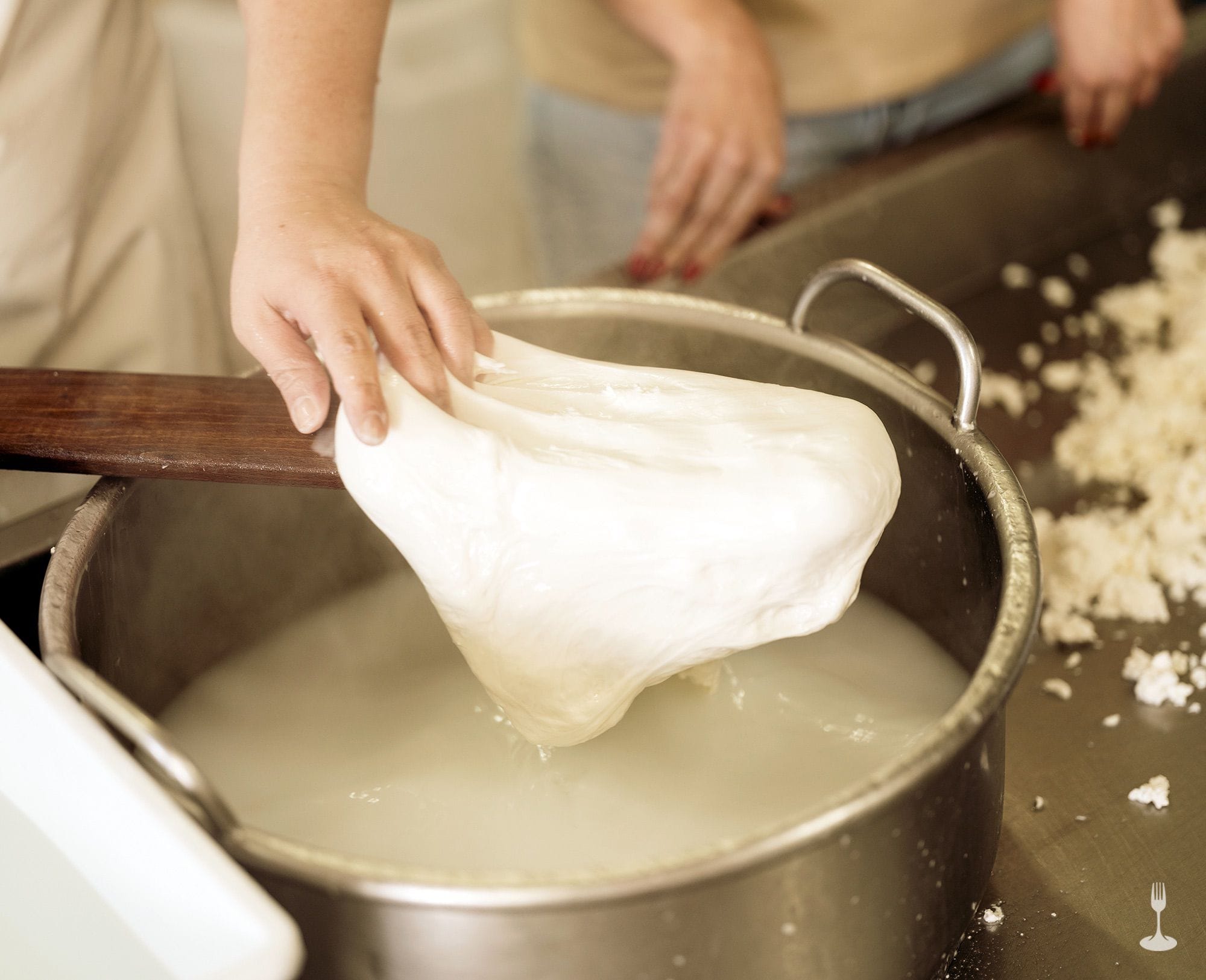 Dairyman with guest Close-up of a hand stretching mozzarella curd.