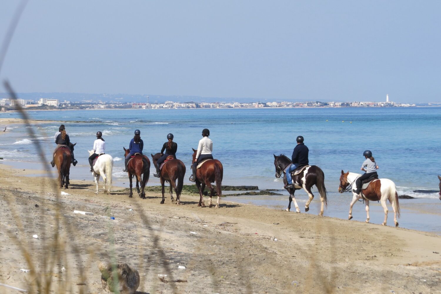 Passeggiata a cavallo a mare Puglia