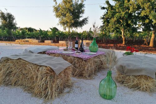 Pic nic rurale vigneto tramonto Puglia