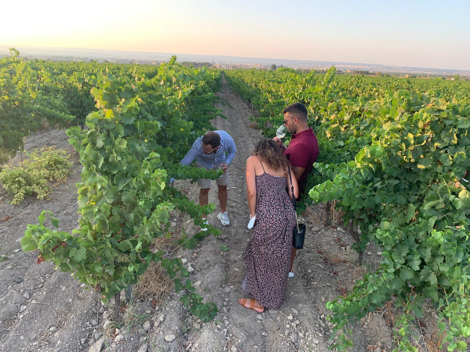 Wine tasting tour sea Puglia