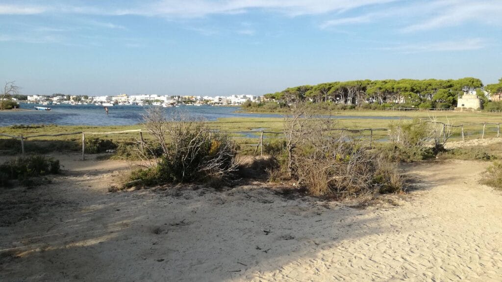 Isola dei Conigli Porto Cesareo Modo più facile per arrivare sull'Isola dei Conigli di Porto Cesareo