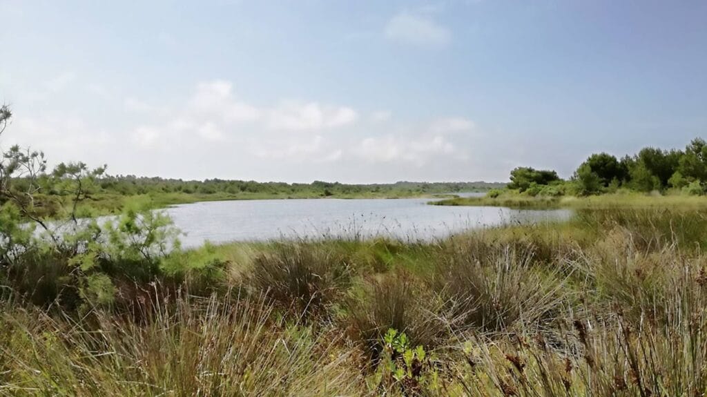 Riserva-Le-Cesine Riserva naturale wwf Le Cesine Puglia